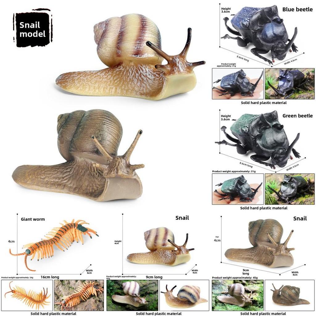 Childrens Educational Animal Model Toy Plastic Realistic Snail Garden Decor For Kids Learning