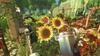 Garden Create Your Dream Garden Life
