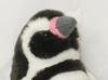 Naitou Design Underwater Walk Pochamaru Penguin Series Plush Toy, Small, Black Penguin, Swimming Pose, Total Length: Approximately 17cm