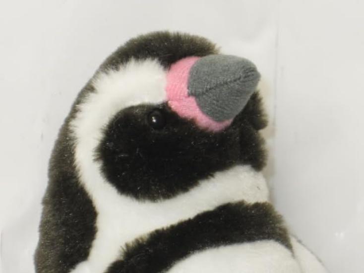 Naitou Design Underwater Walk Pochamaru Penguin Series Plush Toy, Small, Black Penguin, Swimming Pose, Total Length: Approximately 17cm
