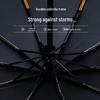 Hongye Automatic 10-Rib Windproof Business Umbrella