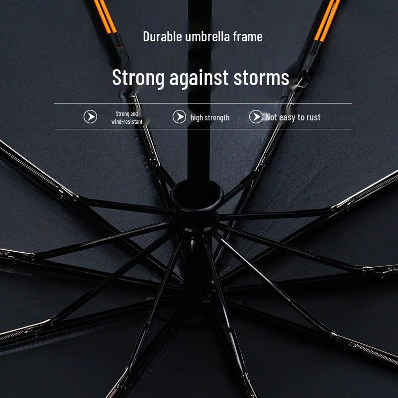 Hongye Automatic 10-Rib Windproof Business Umbrella