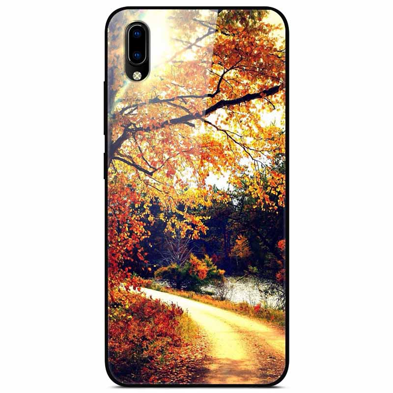 Für vivo V17 Hüllen V17 Pro Gehärtetes Glas Harte Rückseite Für Vivo V15 Pro Handyhülle Coque Für Vivo X50 Pro Lite Hülle X 50Lite