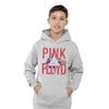 Pink Floyd Childrens/Kids Allseeing Prism Pull Over Hoodie