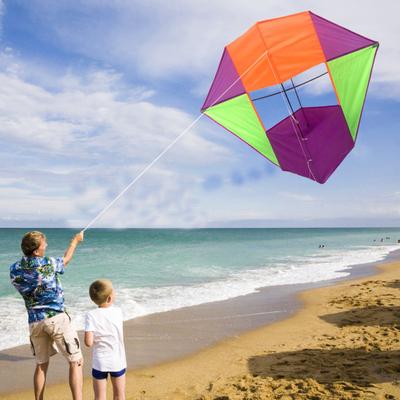 Kids Adults 3D Kite Easy To Fly Heavy Duty Outdoor Beach Park