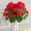 Geranium Flower Bush, Tabletop Home Vase Decor, Wedding Table Centerpiece, Party Floral Arrangement, DIY Bouquet Ornament Accessories
