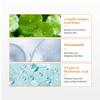 Dr.Althea Vitamin C Boosting Serum (30ml)