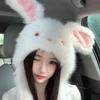 Little Rabbit Rabbit Ears Warmer Hat Anti-cold Fluffy Ear Protection Cap Winter Plush Hat  Women