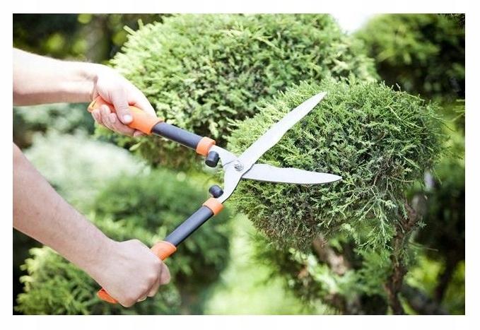 Manual garden hedge trimmers 54 cm