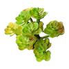 Micro Landscape Ornament Simulation No Watering Realistic Ornaments Flocking Texture Indoor