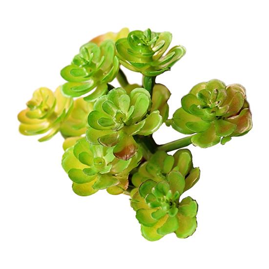 Micro Landscape Ornament Simulation No Watering Realistic Ornaments Flocking Texture Indoor