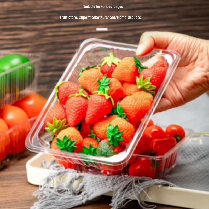 Disposable Clear Plastic Fruit Tray