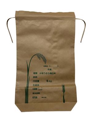 Seiun Shoten Rice New Bags with Set of New Bulk Rice Bags, String, 5kg, 10, Rice, Subdivided, Divided, Purchase, (5kg Bag)
