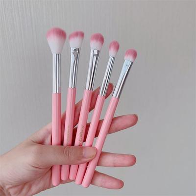 Candy Drop - Set of 5: Makeup Brushes