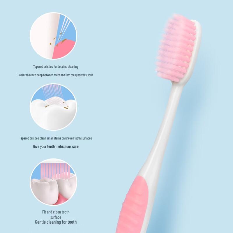 Frog Non-Slip Handle Toothbrush Set (24 Brushes)