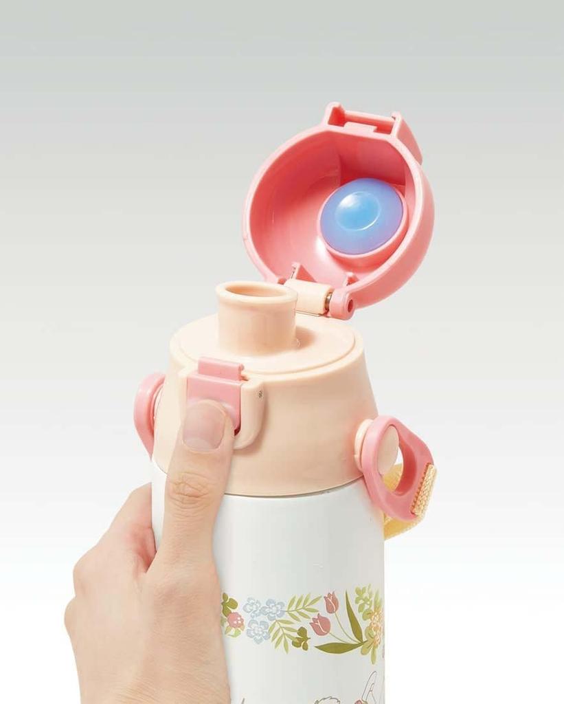 Skater My Neighbor Totoro with Mei 580ml Stainless Steel Sports Water Bottle, Direct Drinking, Studio Jib SDC6N-A