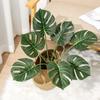 Turtle Back Leaf Faux Plant For Photography And Indoor Garden Decoration