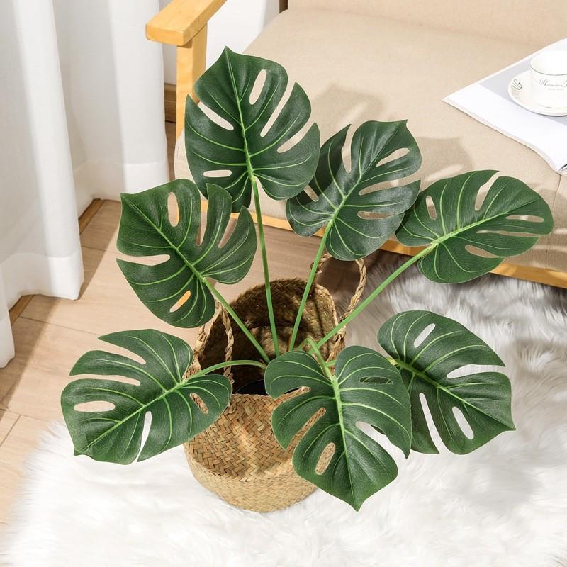 Turtle Back Leaf Faux Plant For Photography And Indoor Garden Decoration