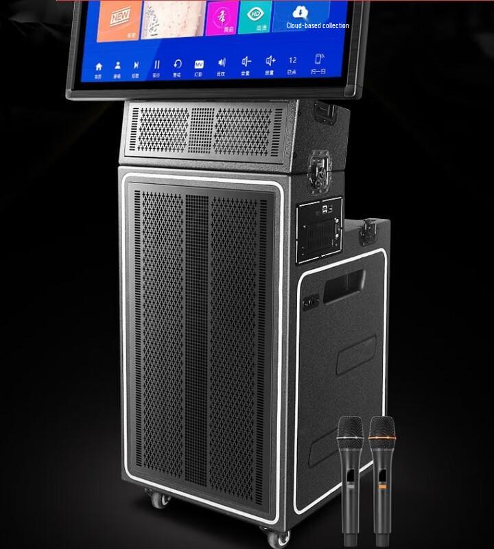 SAST Professional Outdoor KTV Karaoke & PA System CN plug (adapter included)