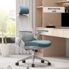 Ergonomic Office Chair with Headrest