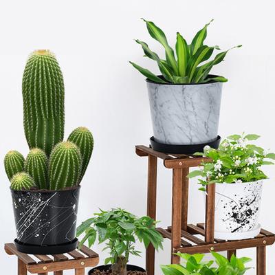 Small 6 Inch Planter for Indoor Plants Plastic Flower Pot with Drainage Hole And Saucer for Orchids Violets Herbs