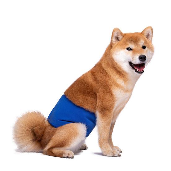 Pet Belly Band Adjustable Leak-proof Fabric Diaper Dog Shorts Pet Physiological Pants for Female Dogs