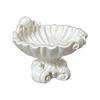Jewelry Storage Tray Creative Seashell Shapes Plastic Trays Jewelry Earrings Ring Display Plates