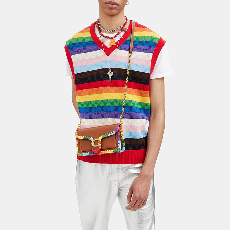 Bolso Tabby de Cuero Nuevo COACH Dios del Vino, Bolso de Hombro, Bolso Bandolera Pequeño para Mujer Marrón y Arcoíris CJ642-B4TT4