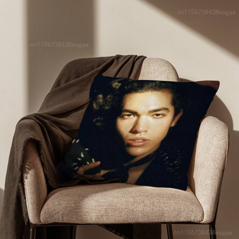 Handsome C-Conan G-Gray Pillow Case For Room Sofa Cushion Cover Suitable For Home Bedroom Decoration And Protector