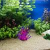 Artificial Coral Colorful Tree for Fish Tanks Aquarium Terrarium Landscaping