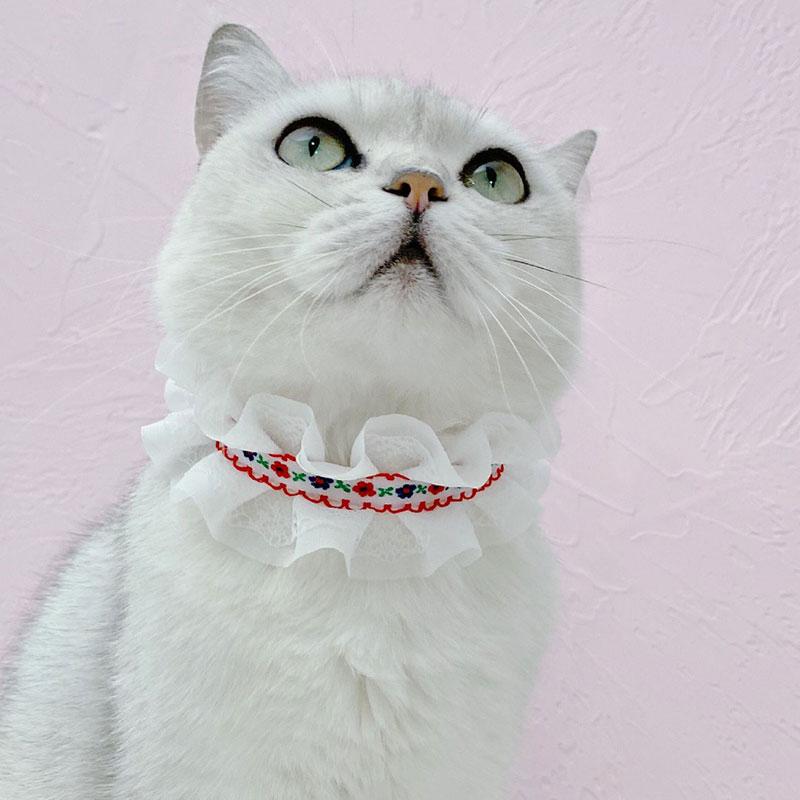 princess cat collar