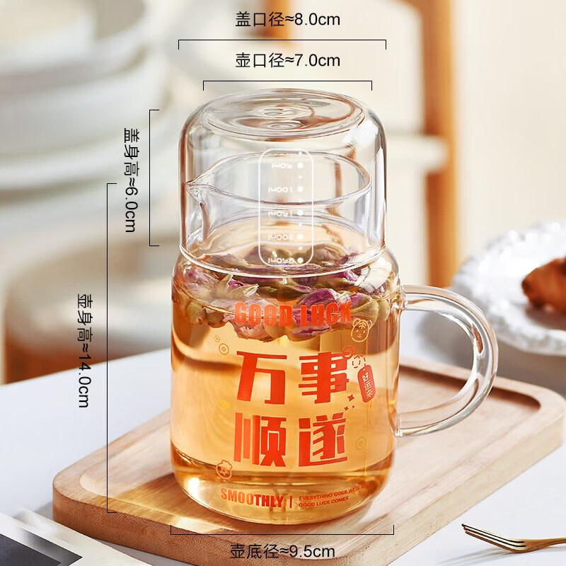 Youluo High Borosilicate Glass Water Bottle with Straw - 800ml