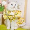 Spot new fly-sleeved skirt Amazon cotton pet clothes, spring and summer new models, teddy bear puppy cat clothes