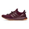 Ivy Park x UltraBoost
