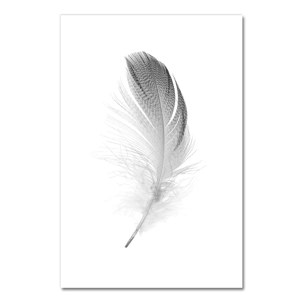 Posters Black And White Flower Print Fresh Wall Art Feather Dandelion Pictures Canvas Living Room Decoration Wall Paintings