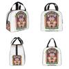 Dr Slump Ramen For Life Arale Insulated Lunch Bag for Women Kids Portable Food Boxes Thermal Lunch Box Tote