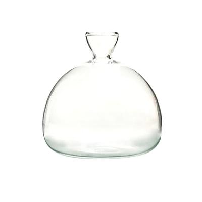 Avocado Seed Starter Vase Transparent Glass Vase Vase For Growing Plant Glass Seed Growing Kit For Gardening Lovers