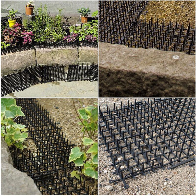 Gardening Tips Prevent Cat Damage Deter Cats Protect Your Garden Easy To Use Cat Mats Safe And Humane Cat Deterrent Cat Behavior
