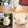 Cat Garden Ornament Object Figurine Interior Sitting Cat