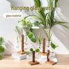 Innovative Wooden Frame Hanging Glass Hydroponic Vase for Pothos – Desktop Flower Arrangement Decor