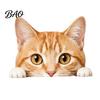 Healing Style Desktop Ornaments Cute Cat Shelf Sitter Ornament, Wooden Peeking Kitten Figurine, Playful Decor 2D Flat Decorative Statue for
