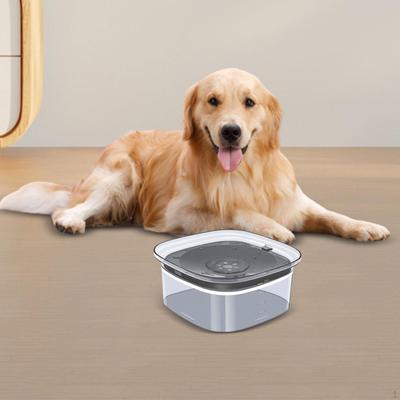 Cani – Distributori di cibo e acqua per gatti