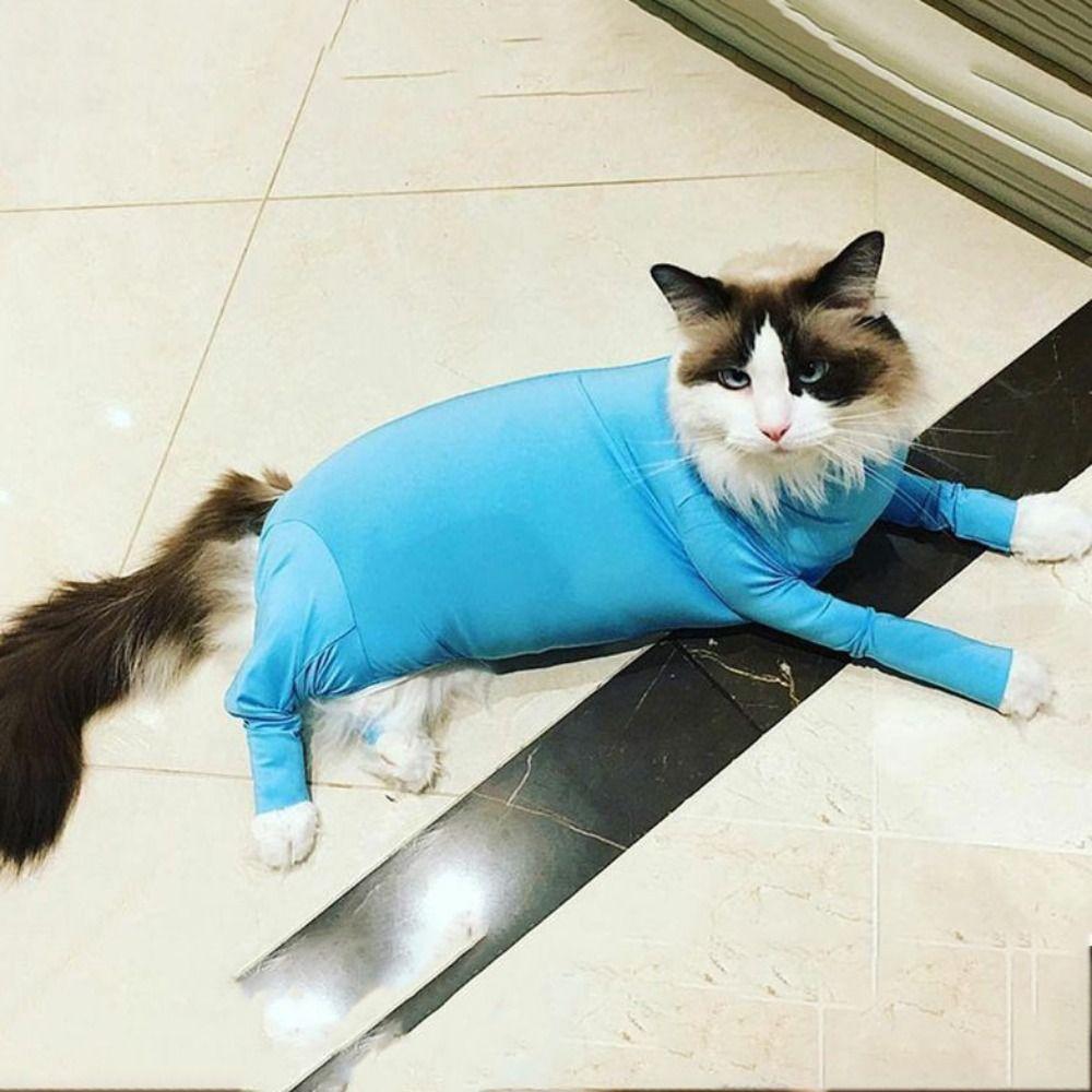 Solid Color Dog Surgery Recovery Suit Soft Polyester Pet Dog Onesie Clothes Comfortable Dog Pajamas 4-leg Pet Clothing Outdoor