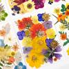 25Pcs Natural Pressed Dried Flower Leaves Set For Jewelry Soap Making