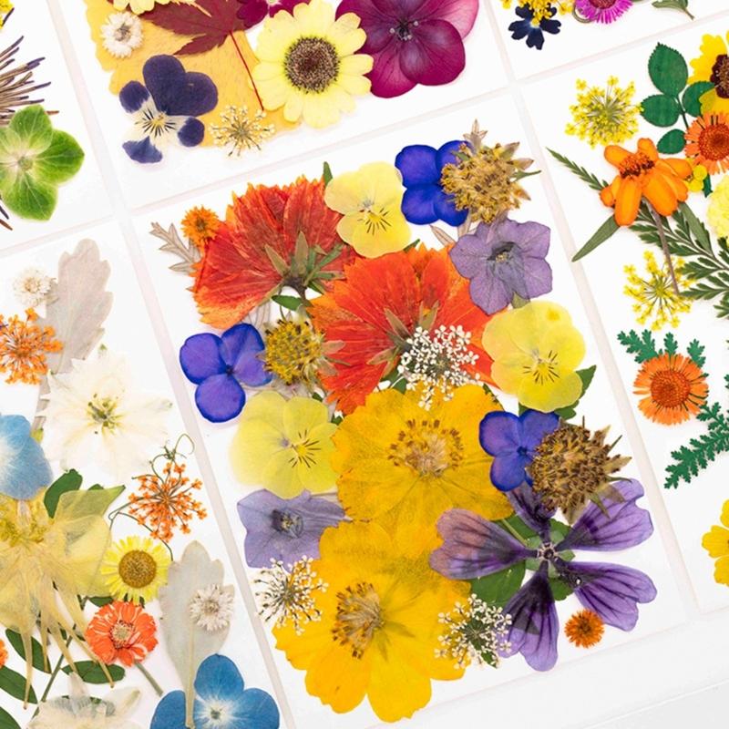 25Pcs Natural Pressed Dried Flower Leaves Set For Jewelry Soap Making