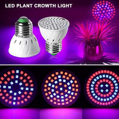 E27 24W 3528 SMD 200 LED Plant Grow Light Red+Blue E27 24W 3528 SMD 200 LED Plant Grow Light Red+Blue