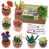 Dennty Wool Felt Succulent Needle Felting Kit Includes DIY Starter Kit Instructions Kit, 9-piece Set, Wool, Mat, Needle,