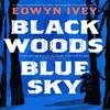Black Woods Blue Sky von Eowyn Ivey Hardcover Buch 9781472279040