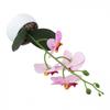 3D Printed Decorative Plant Phalaenopsis Flower Pot