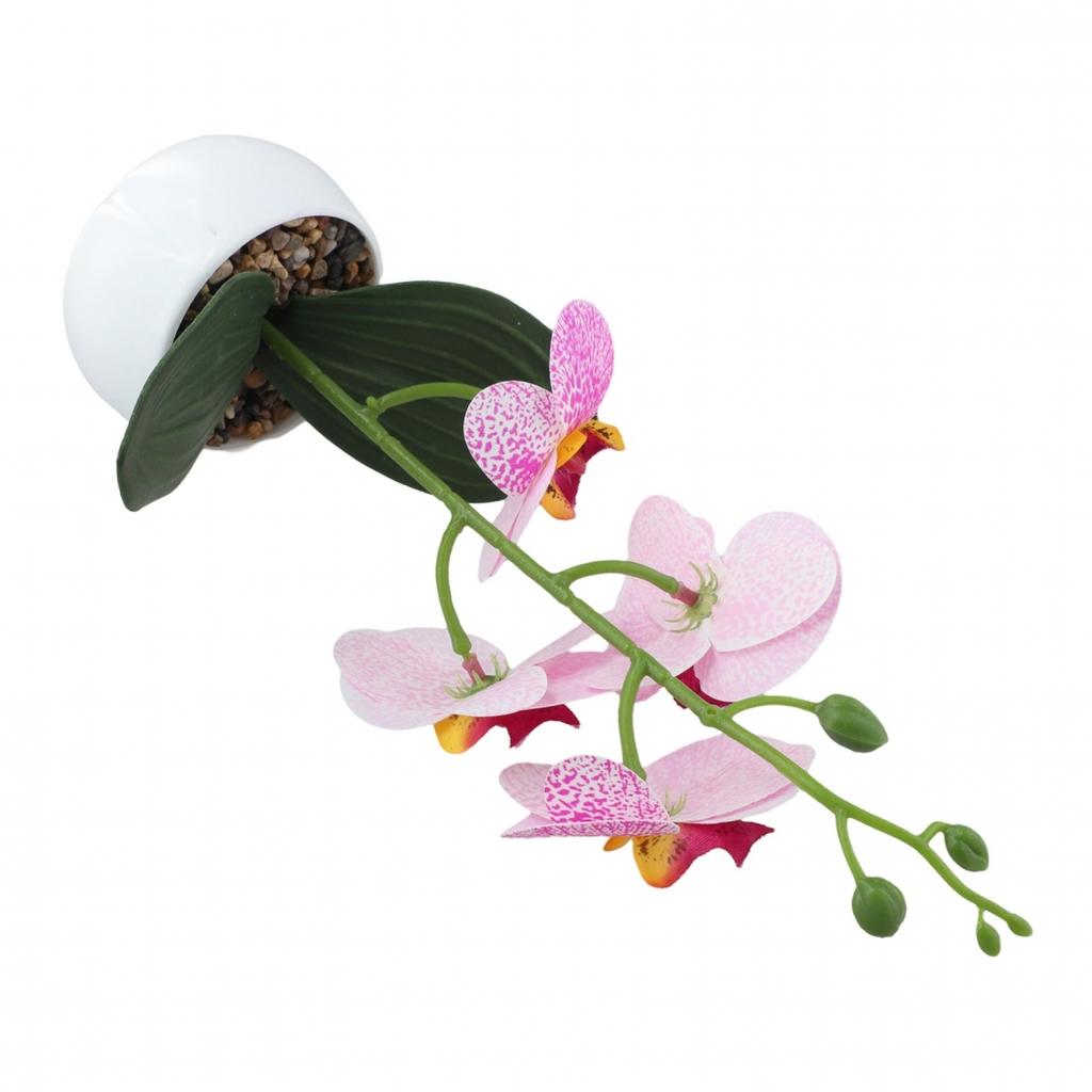 3D Printed Decorative Plant Phalaenopsis Flower Pot